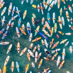 Meet your Posher, Devin